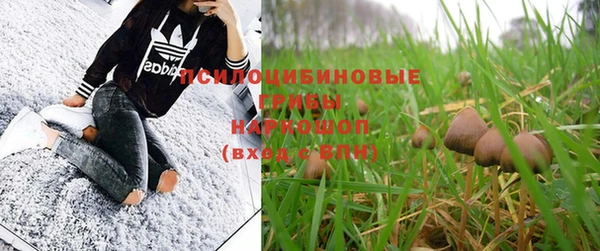 спиды Козельск