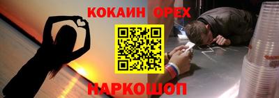 дмт Камышлов