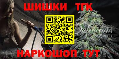дмт Камышлов