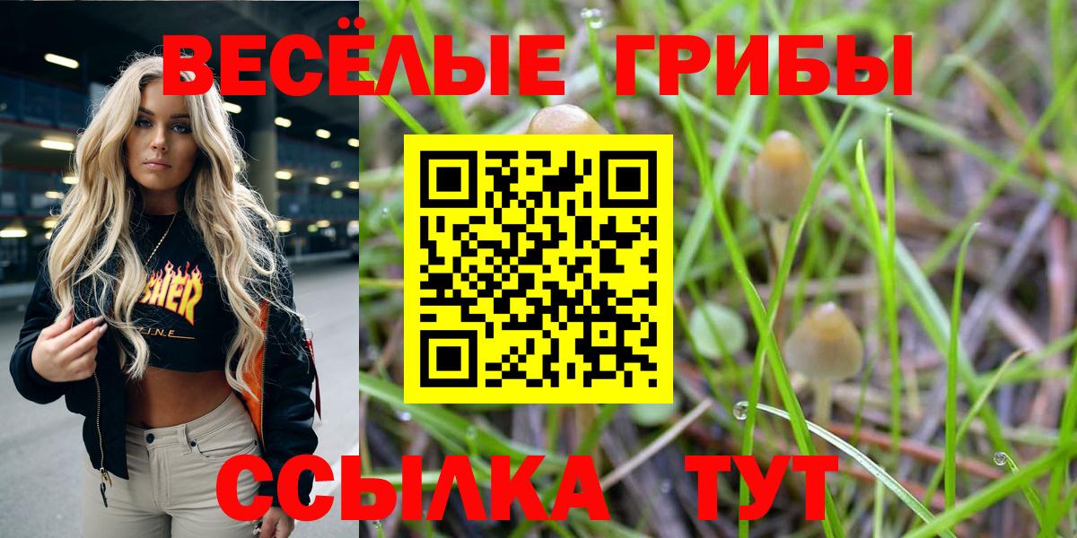 Галлюциногенные грибы мицелий Михайловка